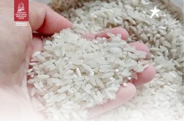 harga beras import