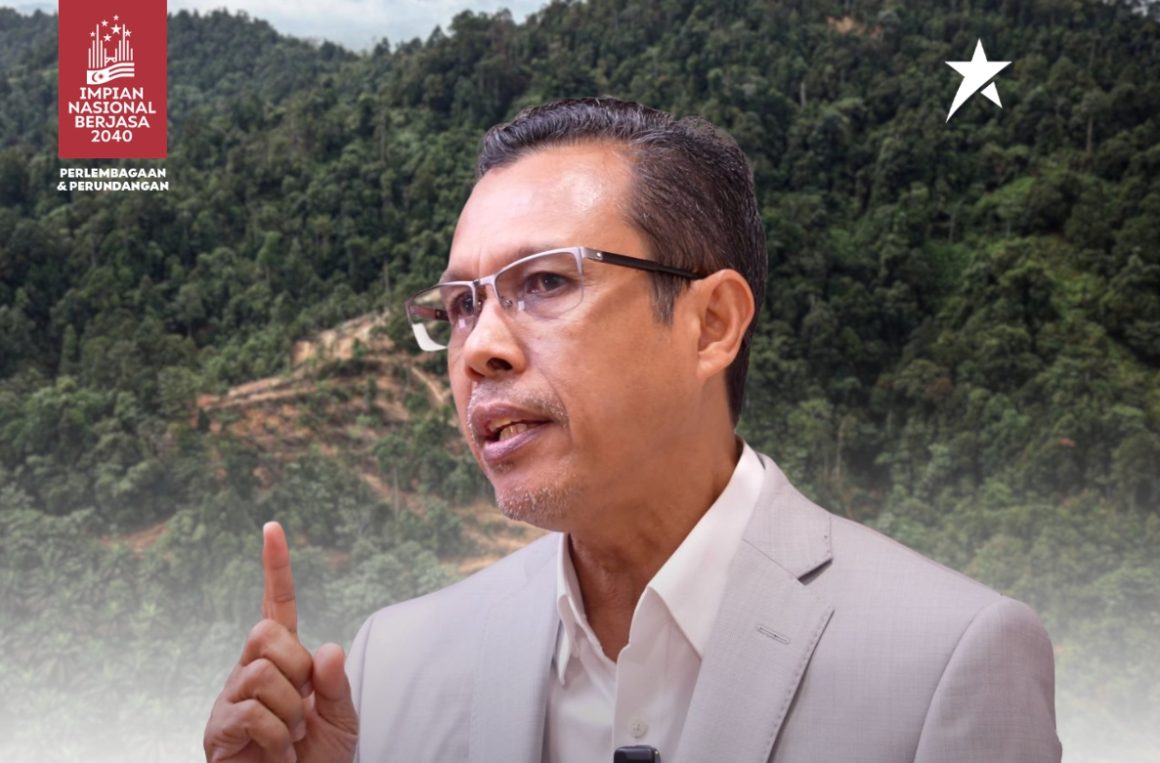 tanah rizab melayu